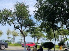 -长洲岛都市农业公园