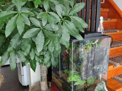 -繁花足道(梅江店)