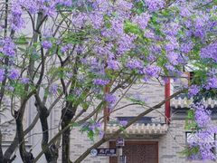 -龙潭水乡