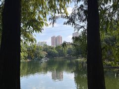 -晓港公园