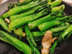 生炒连州菜心-粤·向群饭店(龙津东路总店)