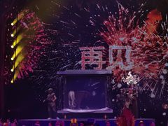 -广州长隆国际大马戏