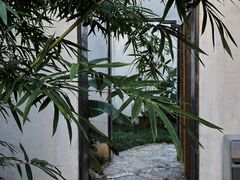 -青果巷历史文化街区