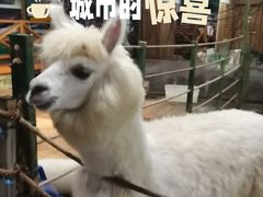 -上海大自然野生昆虫馆(东方明珠·爬宠昆虫探索中心)