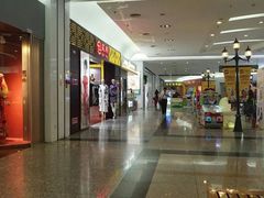 -西树泡芙(北京金源2店)