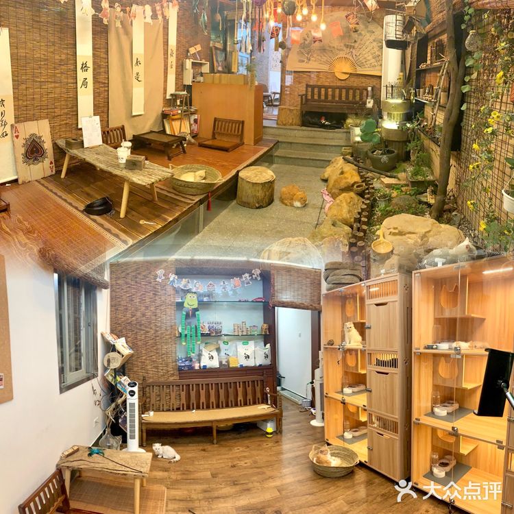 中山探店·庭院式撸猫馆❗️不限时‼️煮茶戏猫