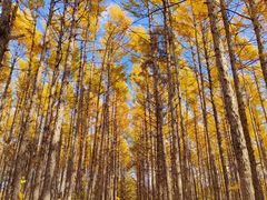 -长春市南湖公园