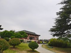 -洛阳古墓博物馆