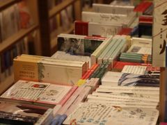 -猫的天空之城概念书店(杭州南宋御街店)