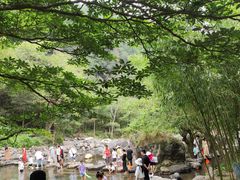 -石台牯牛降景区
