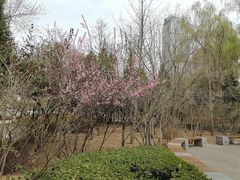 -迎泽公园