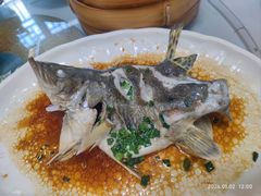 清蒸桂鱼-南翔饭店