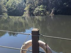 -石台牯牛降景区