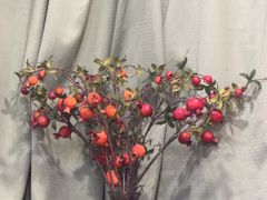 -老厨家(文政街总店)