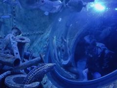 -成都浩海立方海洋公园