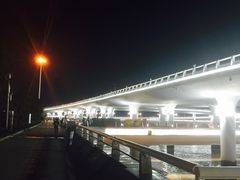 -演武大桥观景平台