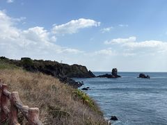 -涉地可支