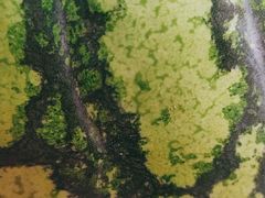 -鲜丰水果(九洲新世界花苑店)