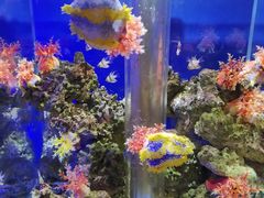 -石家庄海洋公园