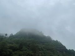 -九曲溪