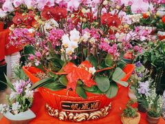 -李村大集