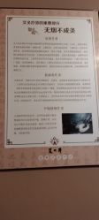 -御品•瑶浴灸疗SPA