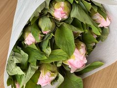 -宝鸡东道花鸟鱼虫市场(吉利花园商场店)
