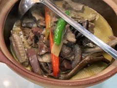 -大鸽饭(马王堆店)