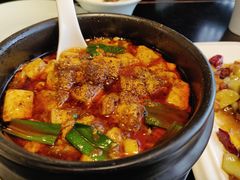 -陈麻婆豆腐总店