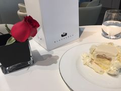 -BLACKSWAN黑天鹅(环球店)