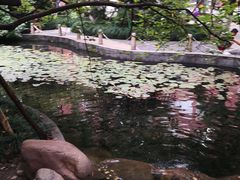 -浙江大学医学院附属第二医院(解放路院区)