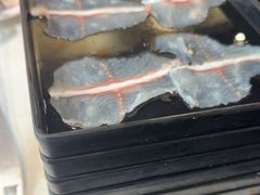 -京门活鱼馆·鱼火锅(百子湾（原红庙）店)