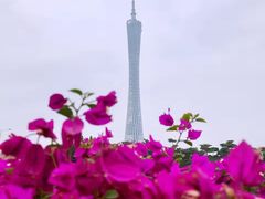 -广州四季酒店