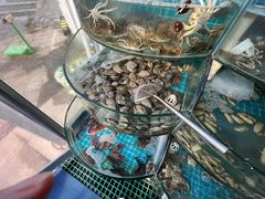-仙螺岛海鲜自助餐厅(总店)