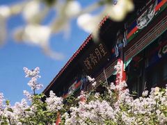 -达活泉公园