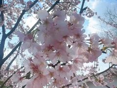 -自然谷恐龙园