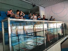 -布噜游泳俱乐部(东闸路店)