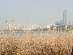 -月湖风景区