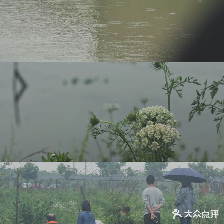 武汉果乐小镇钓小龙虾,有和我一样的童年吗?