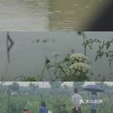 武汉果乐小镇钓小龙虾，有和我一样的童年吗？