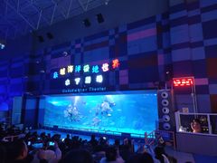 -泉城欧乐堡海洋极地世界
