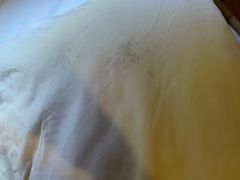 -天门沟九州驿站树上汤泉