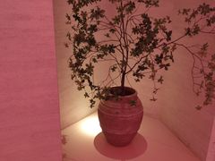 -舒小悦·舒养SPA·古法推拿(光环中心店)