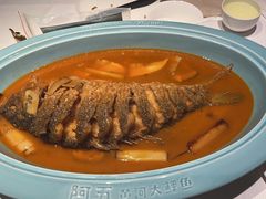 -阿五黄河大鲤鱼(英协路店)