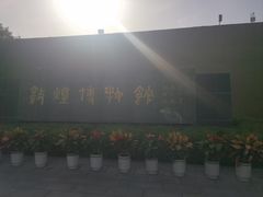 -敦煌市博物馆