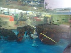 -清水湾3号(东方小周海鲜店)