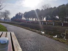 -皇粮浜湿地公园