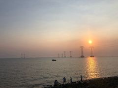 -宝安西湾红树林湿地公园