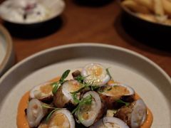 酿馅儿小鱿鱼-OTIUM • 柴屿麦(亮马桥店)