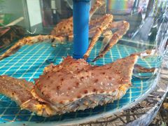 -百富源·海鲜辽菜(张士店)